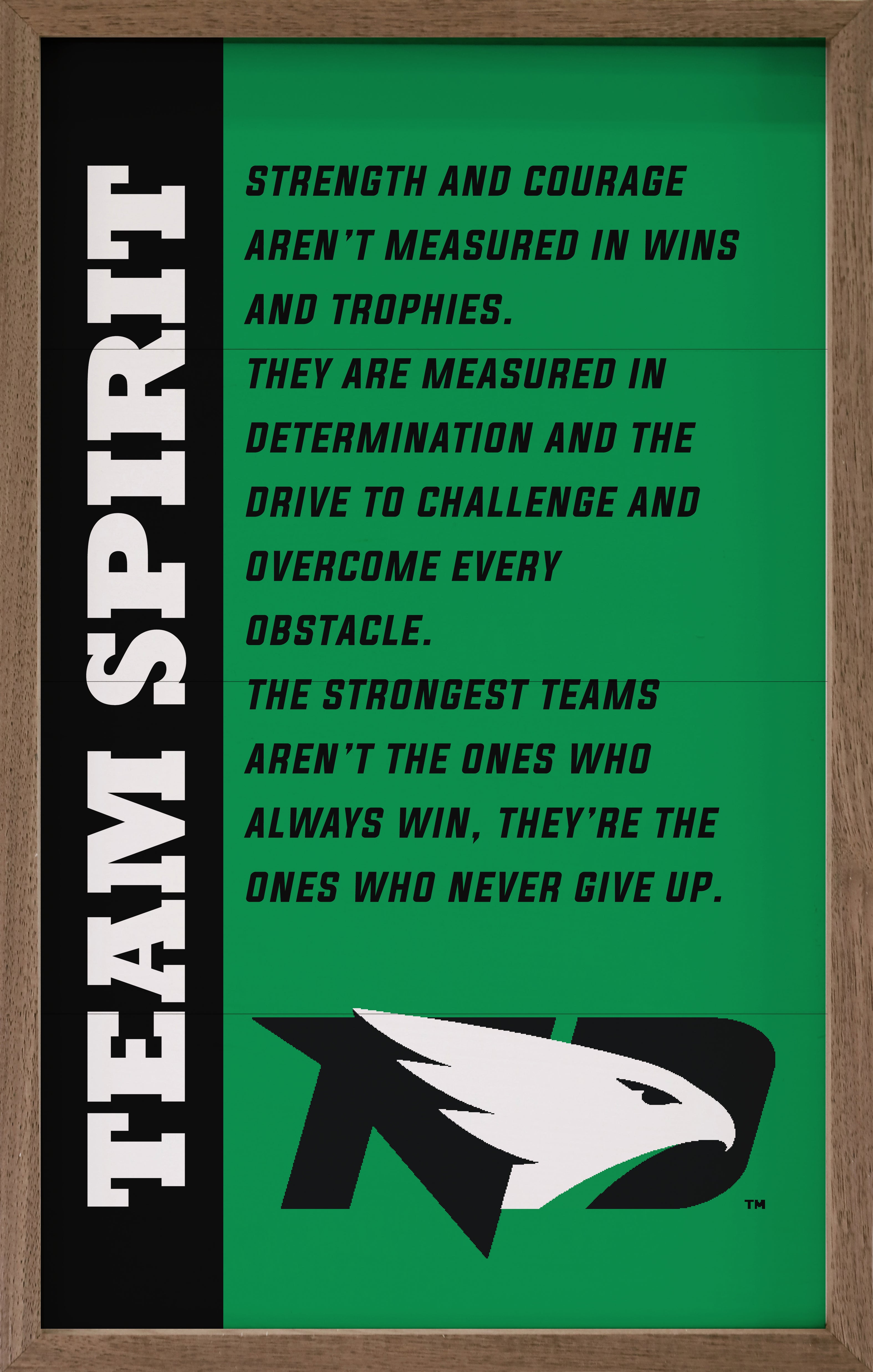 Team Spirit North Dakota 10x16 / Green