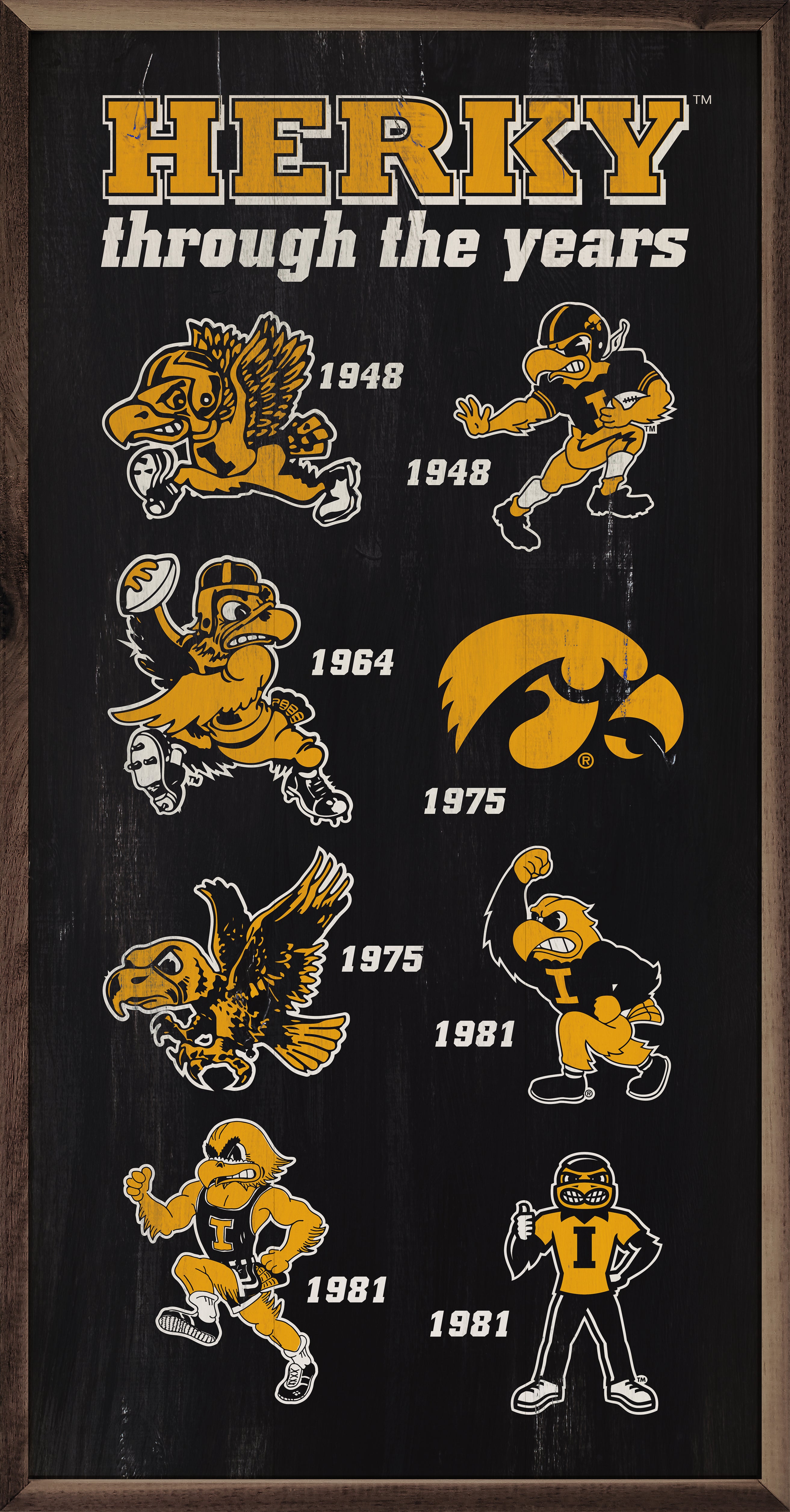 Herky Through The Years Black 12x24 / Black