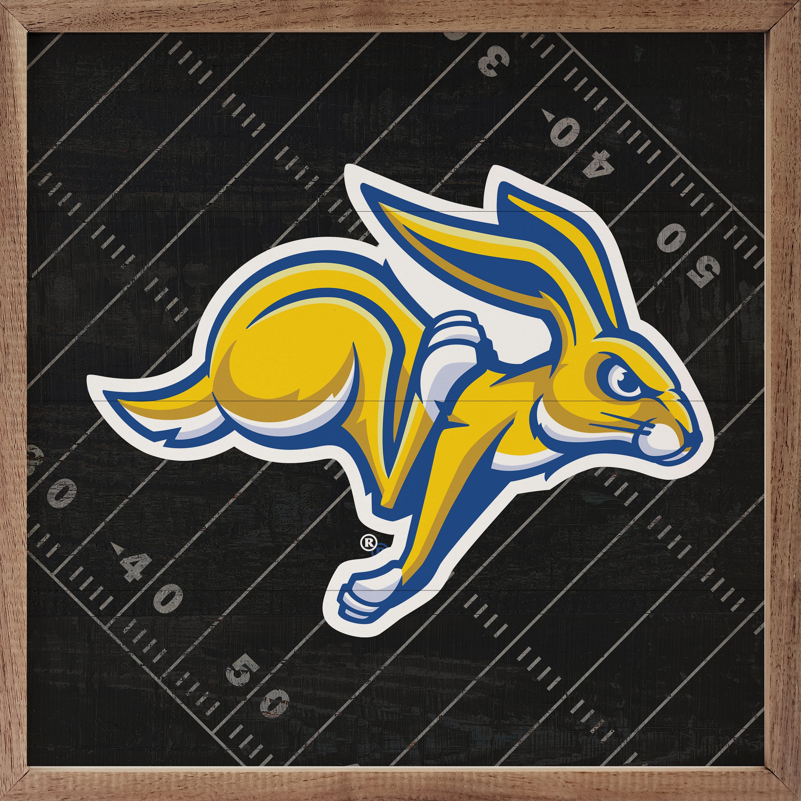 Black Football Field South Dakota State 16x16 / Black