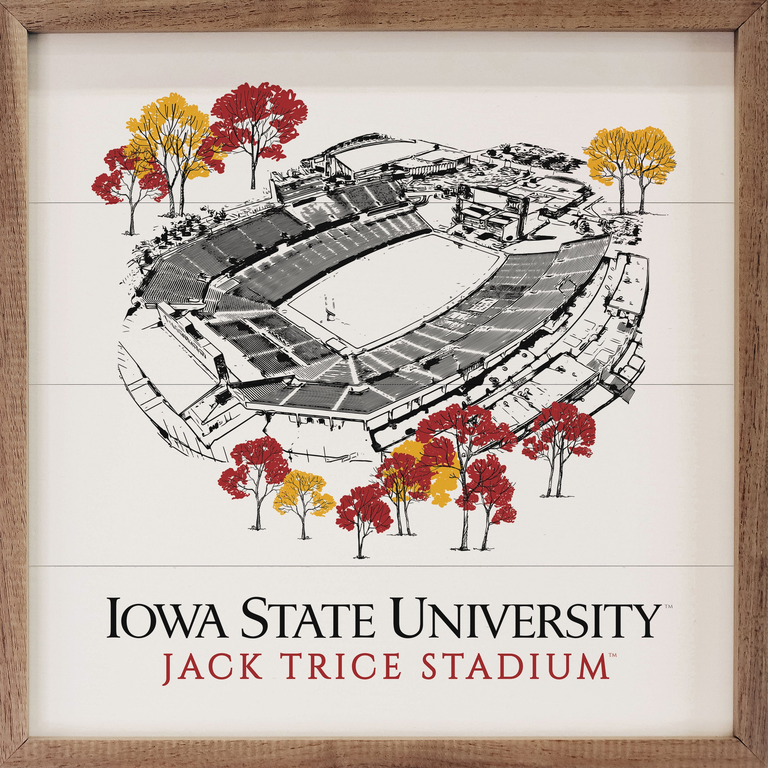 Sketch Football Stadium Iowa State 16x16 / White