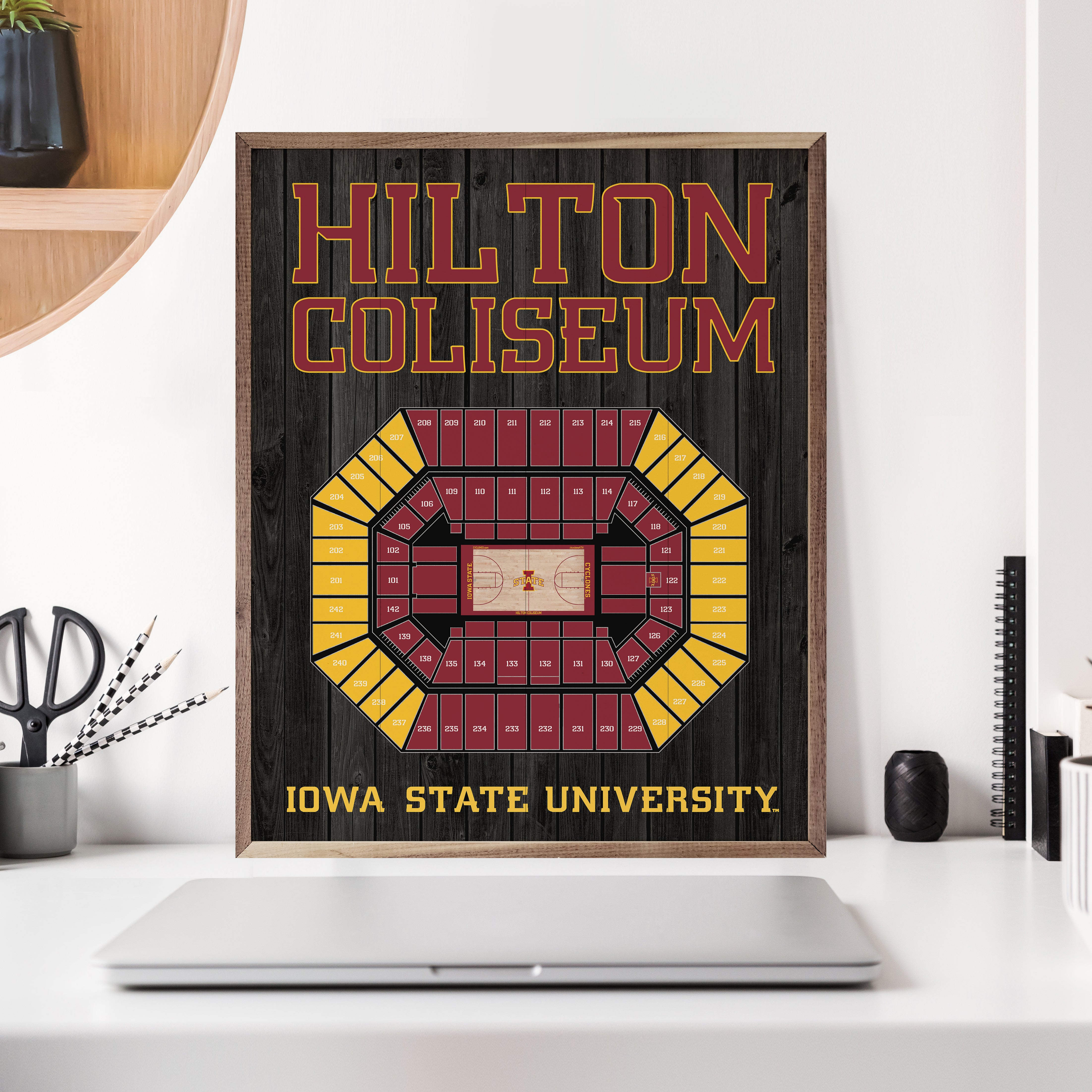 Stadium Seating Basketball Black Iowa State 16x20 / Black