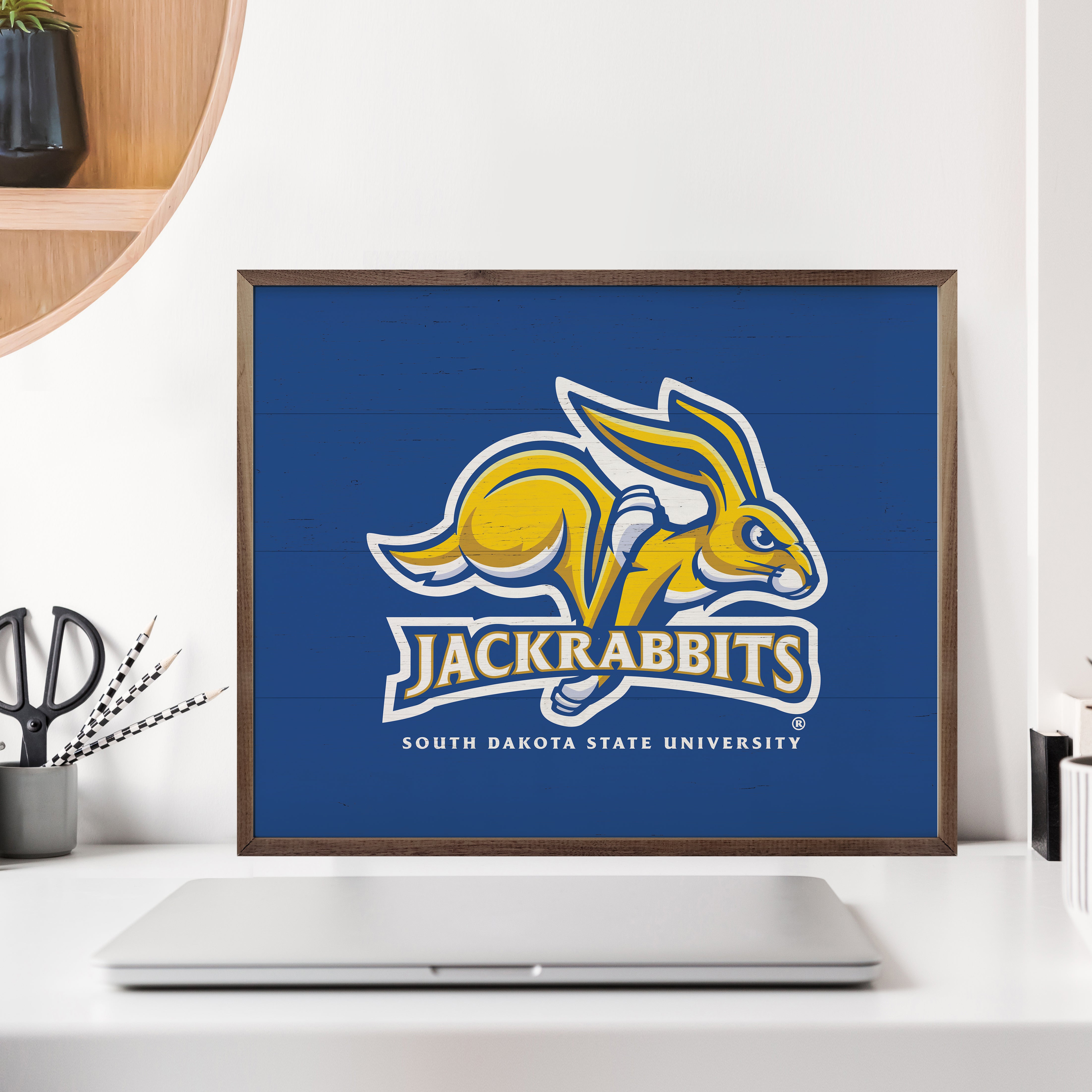 Bold Logo South Dakota State 20x16 / Blue