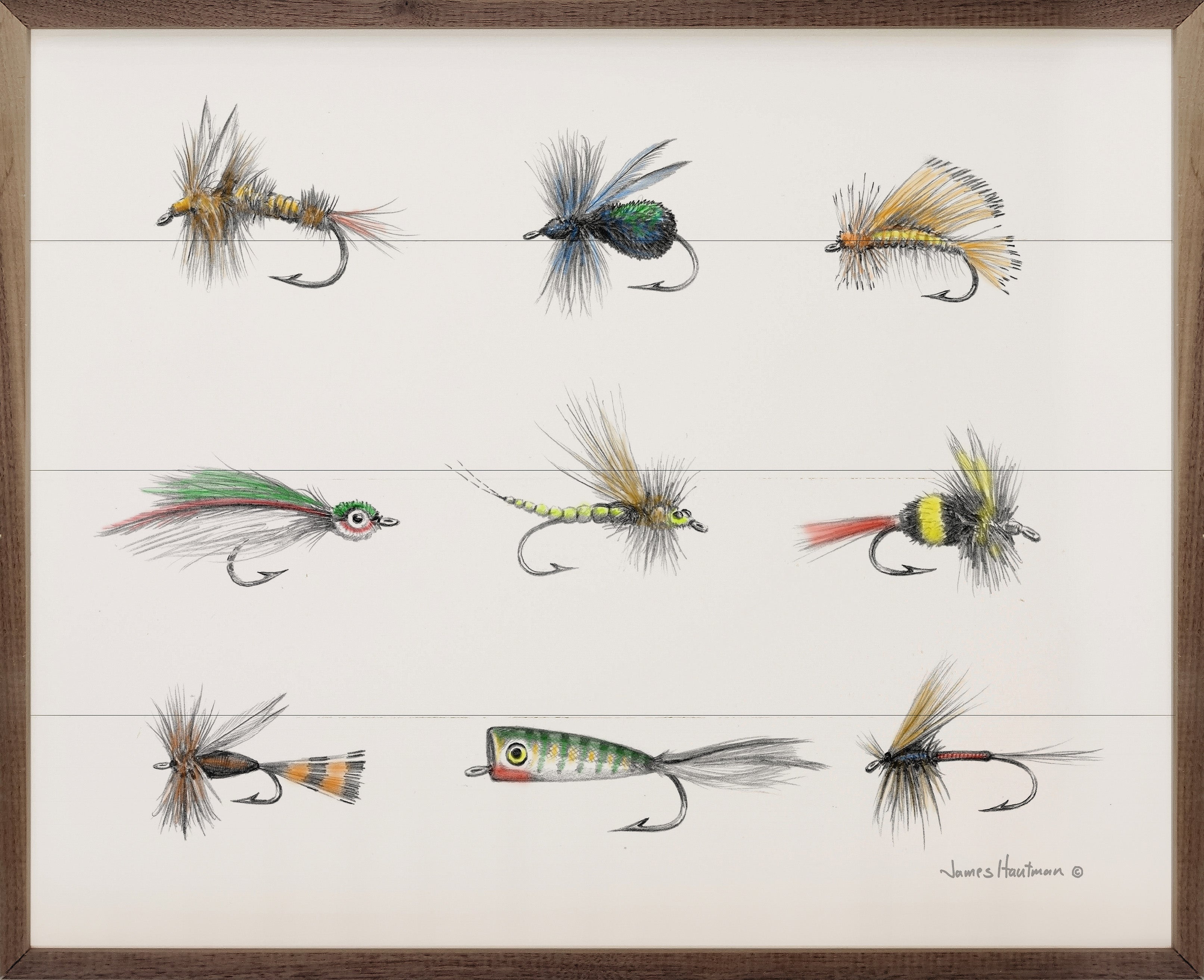 Fly Collection By Hautman Brothers 20x16 / Multi-Color