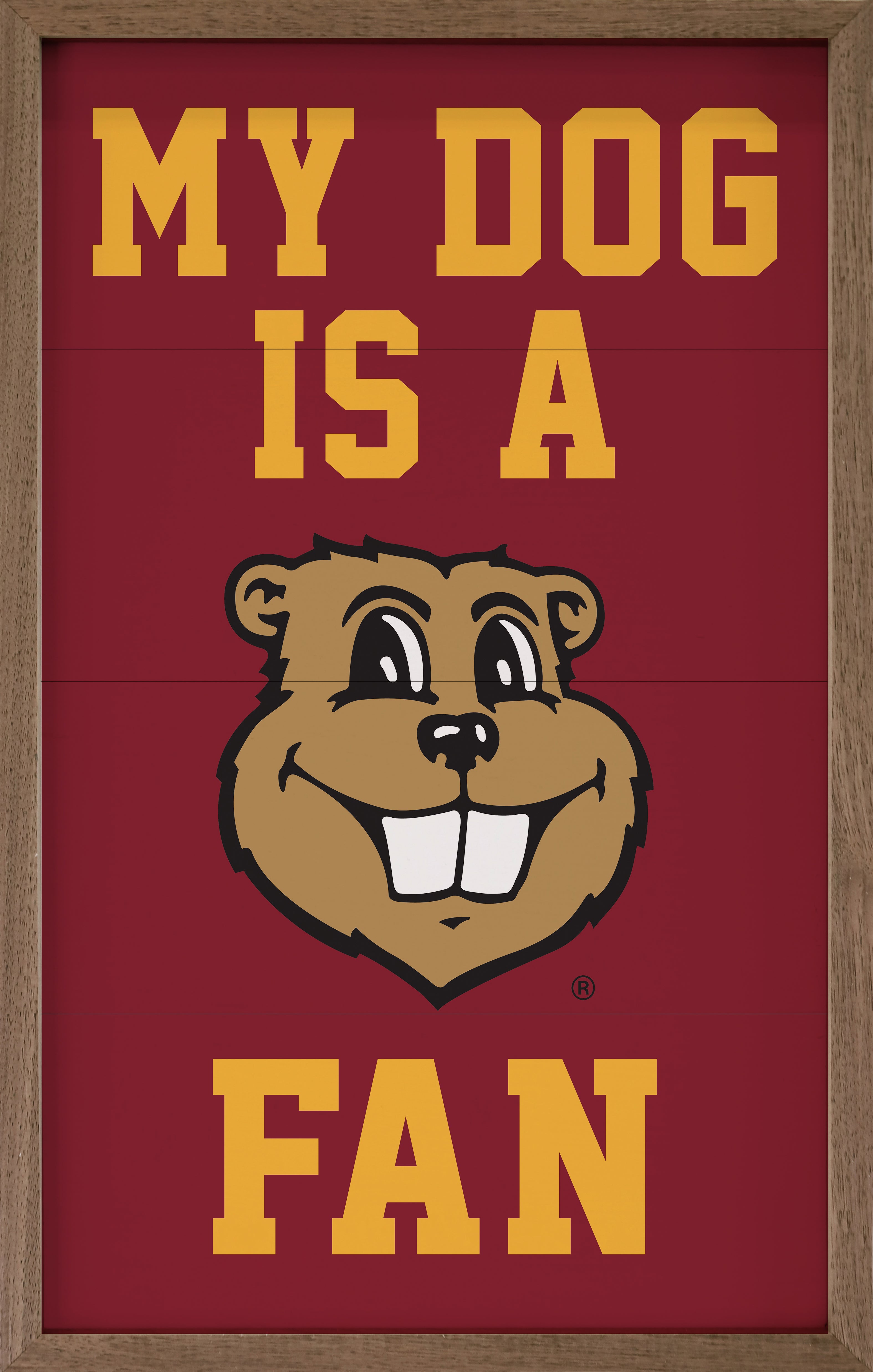 Dog Fan Minnesota 10x16 / Maroon