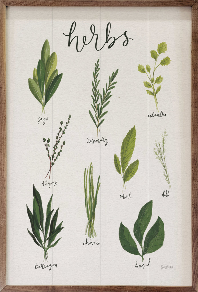 Herbs I White By Becky Thorns 16x10 / Multi-Color