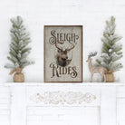 Sleigh Rides Reindeer Classic Whitewash 10x16 / Whitewash