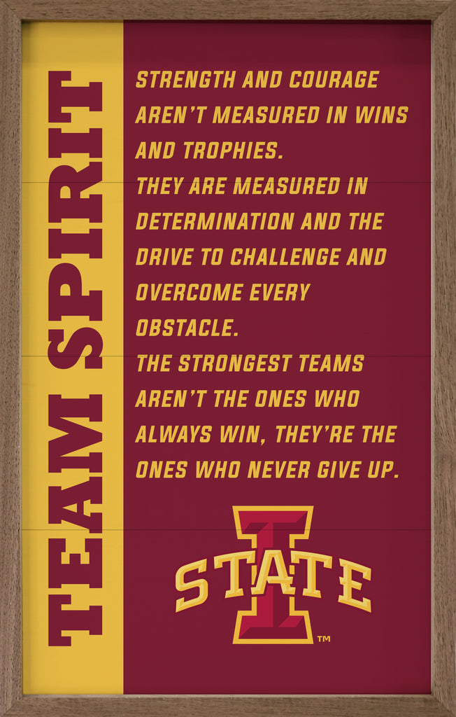 Team Spirit Iowa State 10x16 / Red