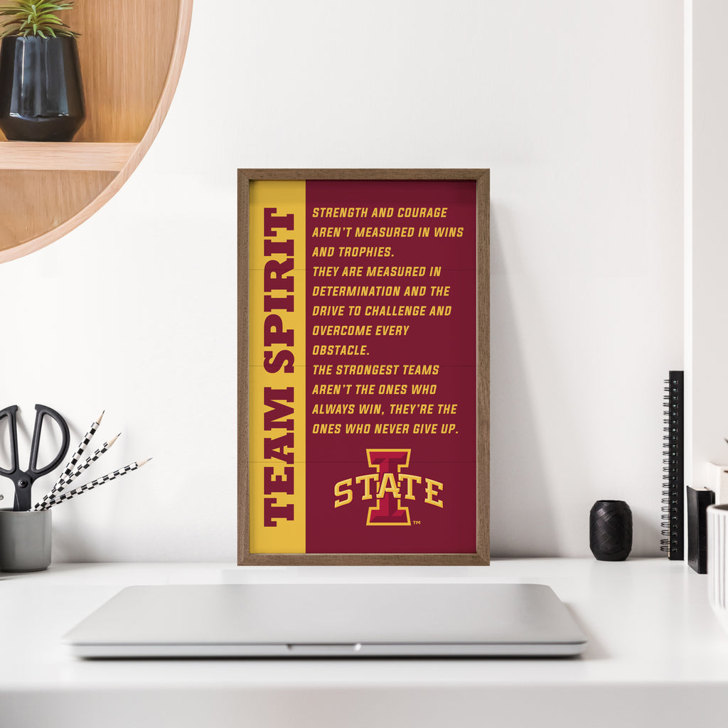 Team Spirit Iowa State 10x16 / Red