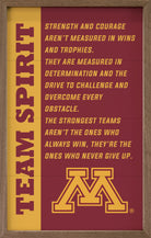 Team Spirit Minnesota 10x16 / Maroon