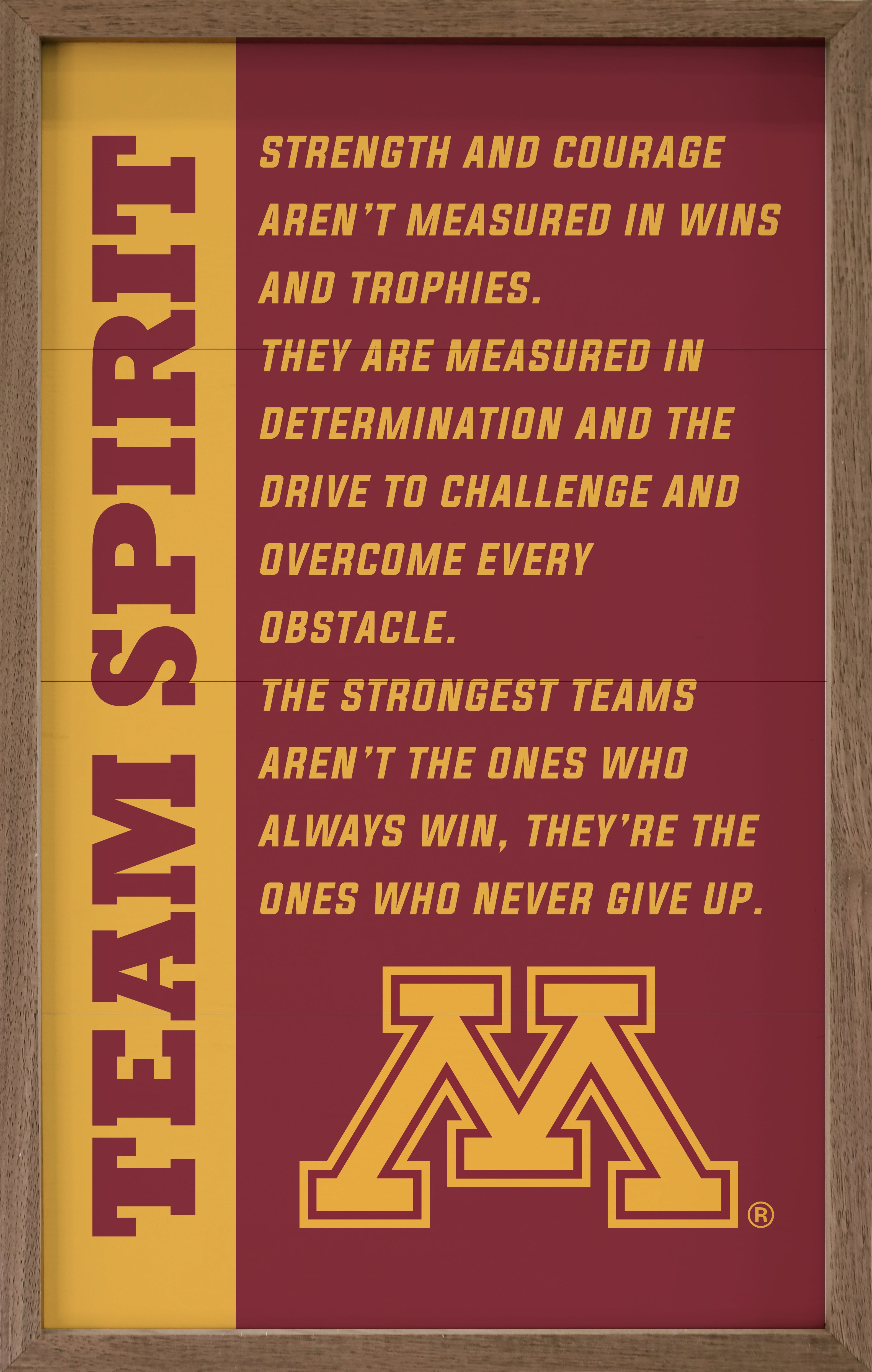 Team Spirit Minnesota 10x16 / Maroon