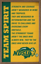 Team Spirit North Dakota State 10x16 / Gold