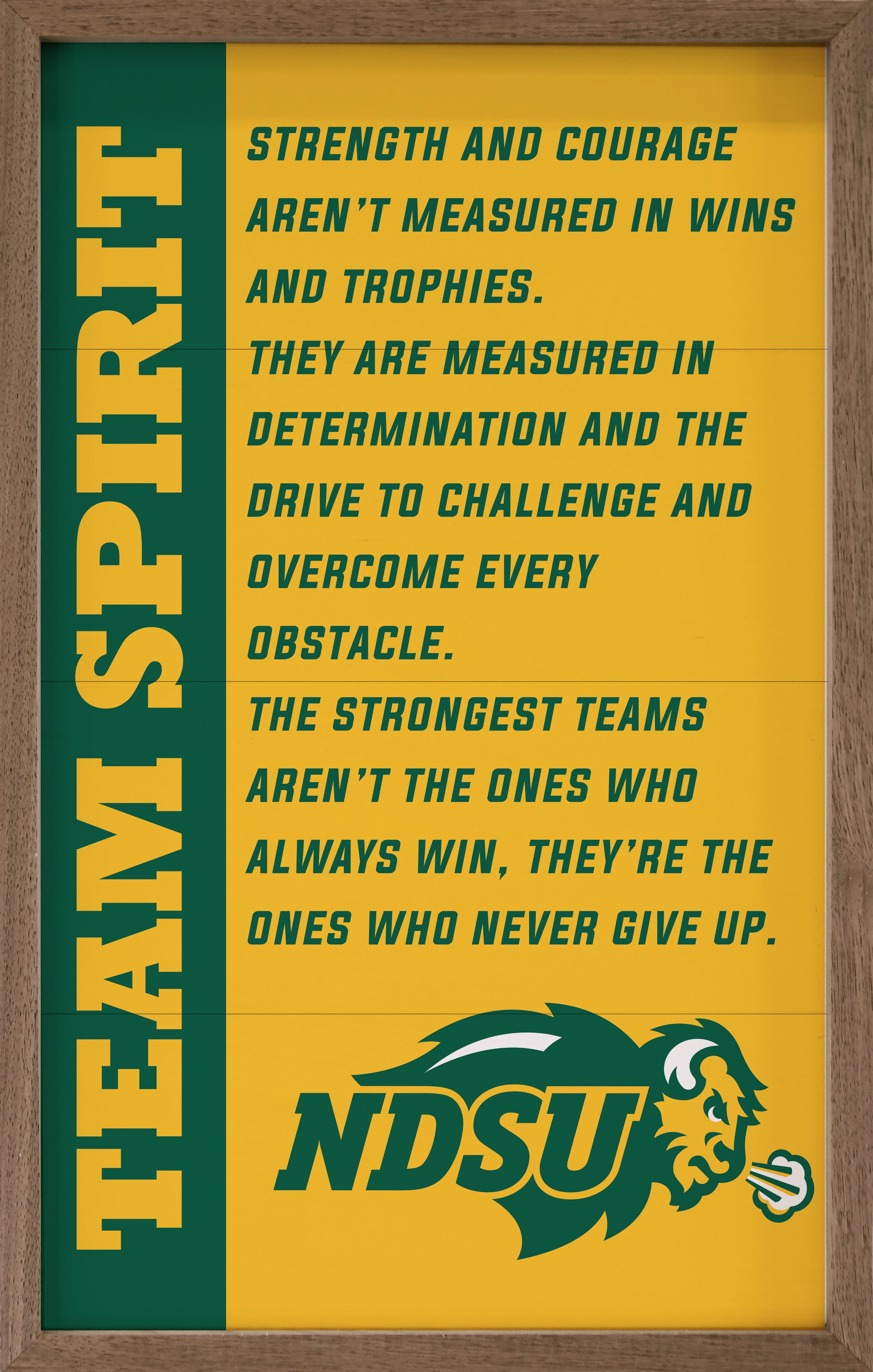 Team Spirit North Dakota State 10x16 / Gold