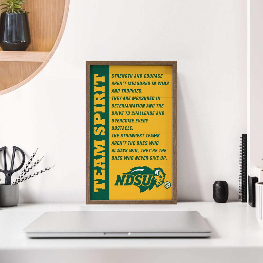 Team Spirit North Dakota State 10x16 / Gold