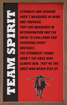 Team Spirit Texas Tech 10x16 / Red