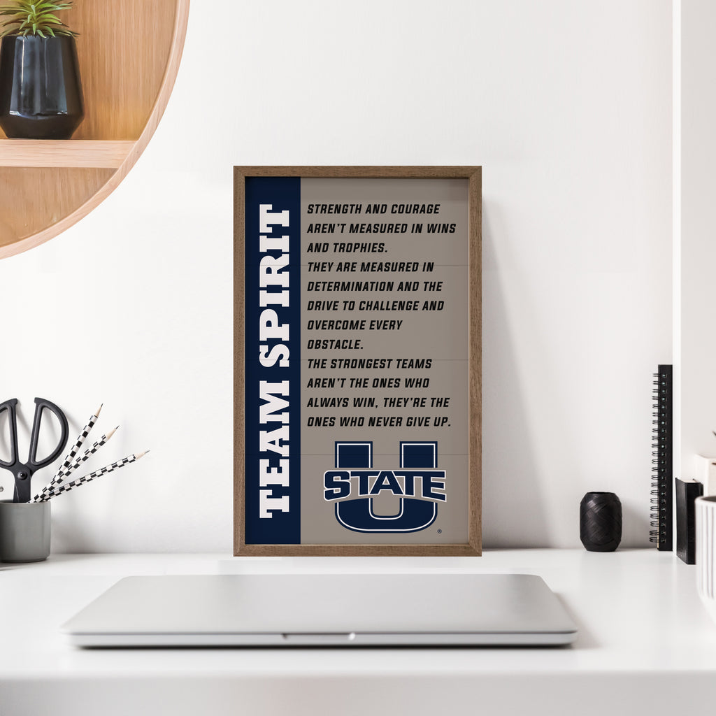 Team Spirit Utah State 10x16 / Gray