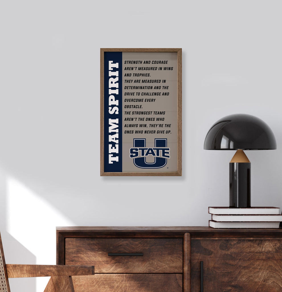 Team Spirit Utah State 10x16 / Gray