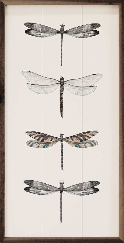 Four Dragonflies 12x24 / Multi-Color