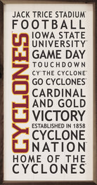 University Words Iowa State 12x24 / White