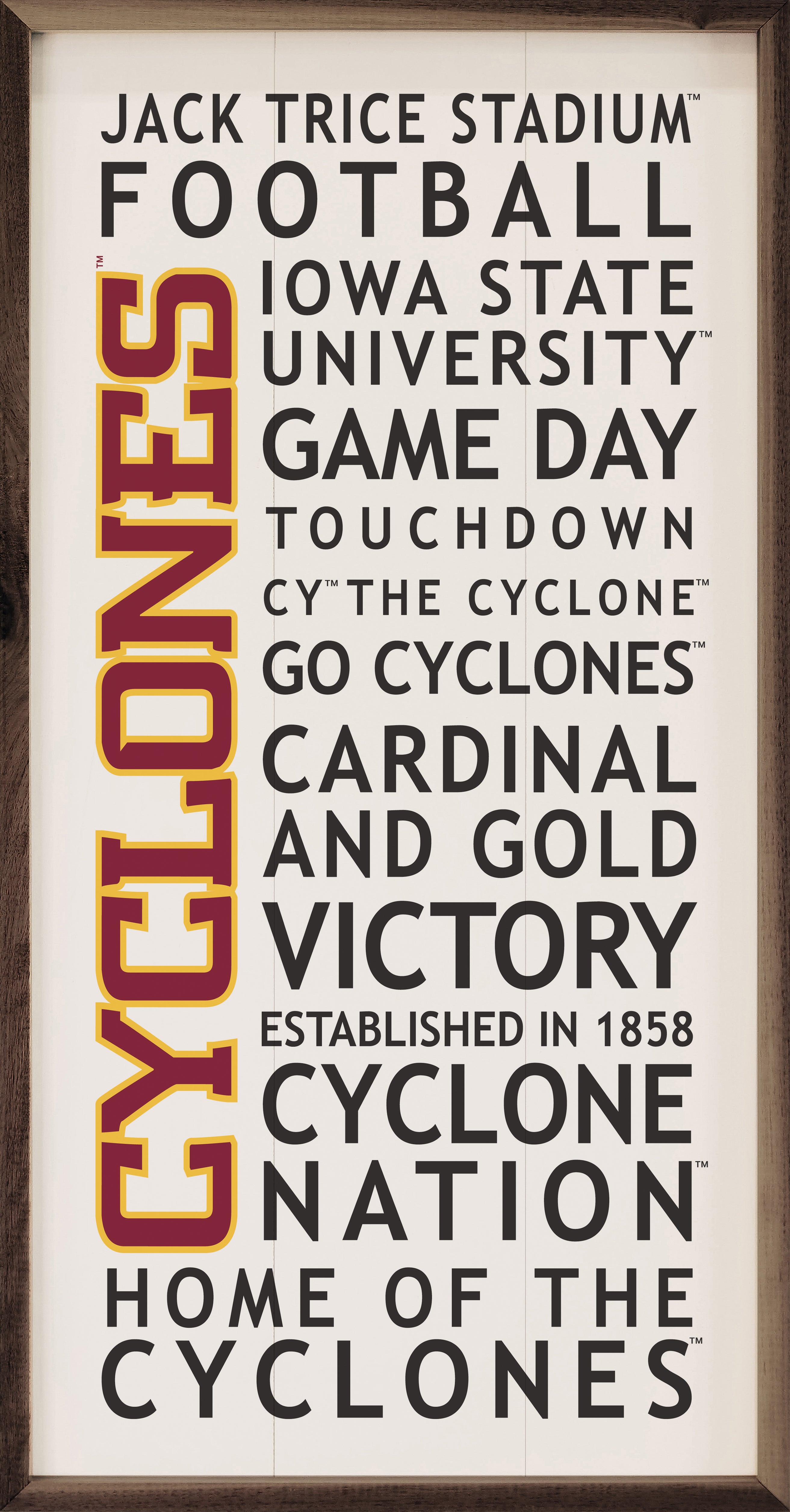 University Words Iowa State 12x24 / White