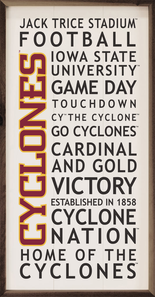 University Words Iowa State 12x24 / White