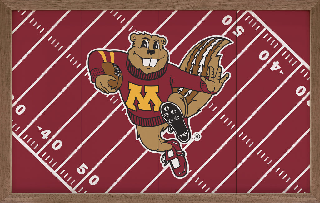 Football Field University Of Minnesota 16x10 / Red