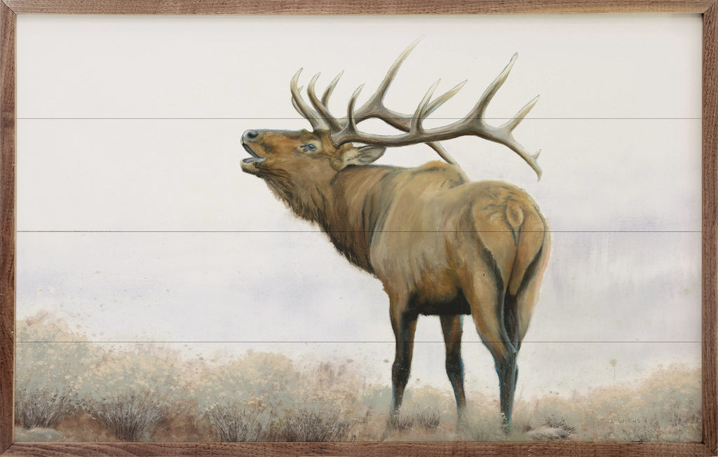Majestic Elk Brown By James Wiens 16x10 / Multi-Color