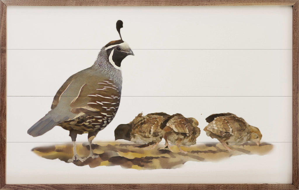 Quail Family 16x10 / Multi-Color