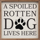 A Spoiled Rotten Dog Lives Here Paw White 16x16 / White