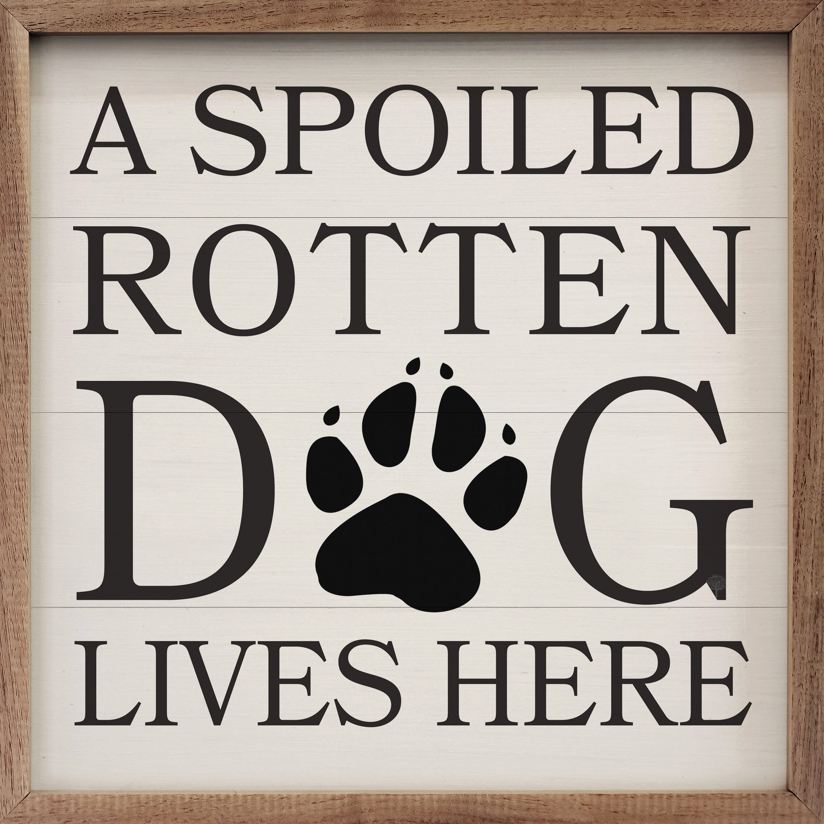 A Spoiled Rotten Dog Lives Here Paw White 16x16 / White