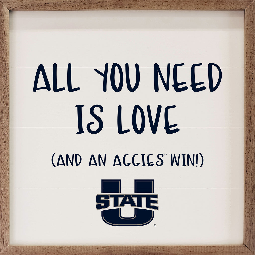 All You Need Utah State 16x16 / White