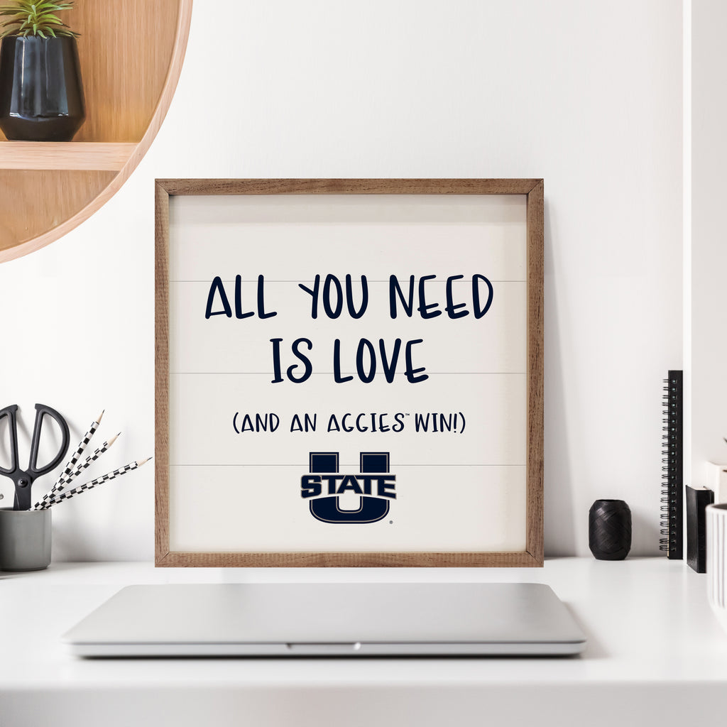 All You Need Utah State 16x16 / White