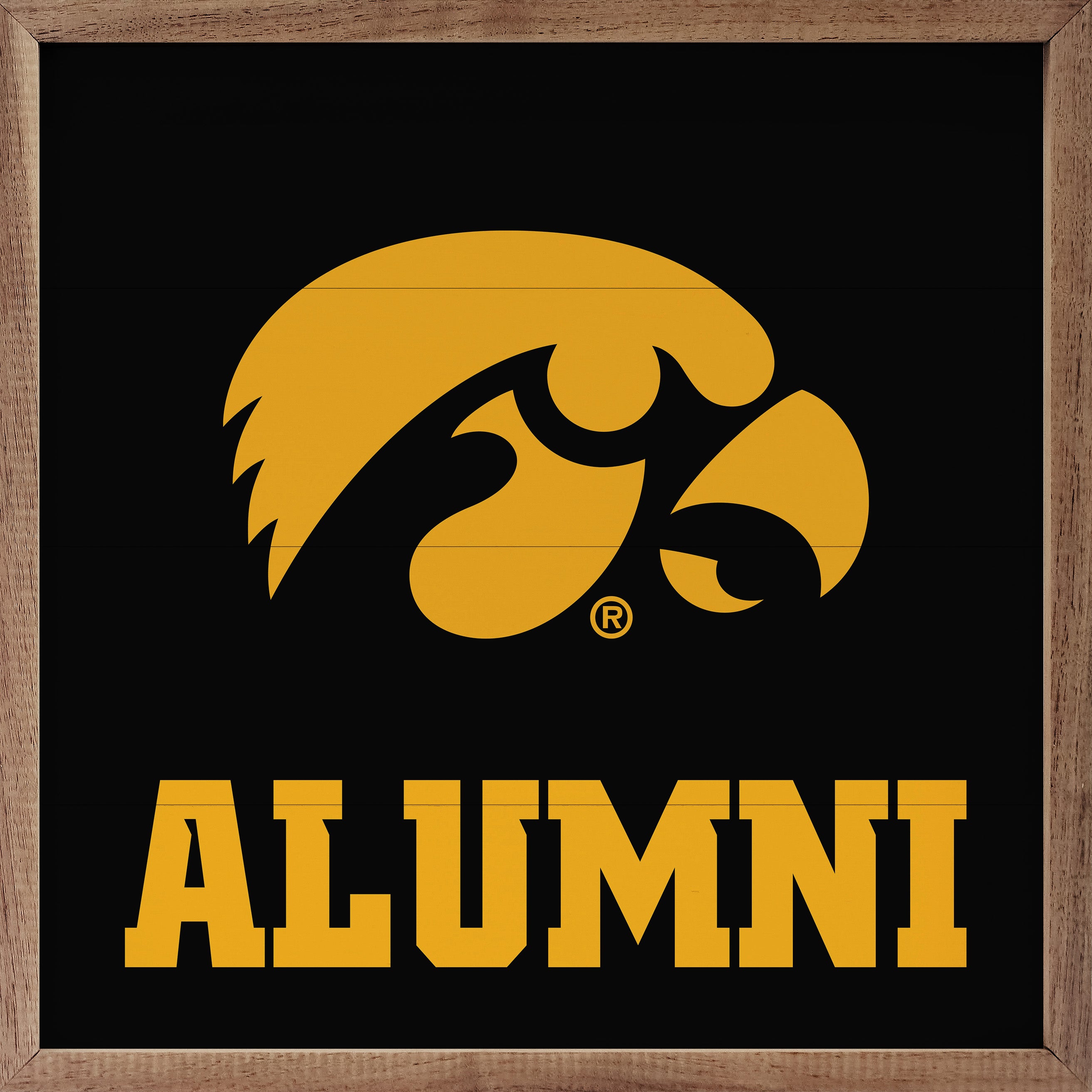 Alumni Iowa 16x16 / Black