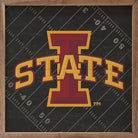 Black Football Field Iowa State 16x16 / White