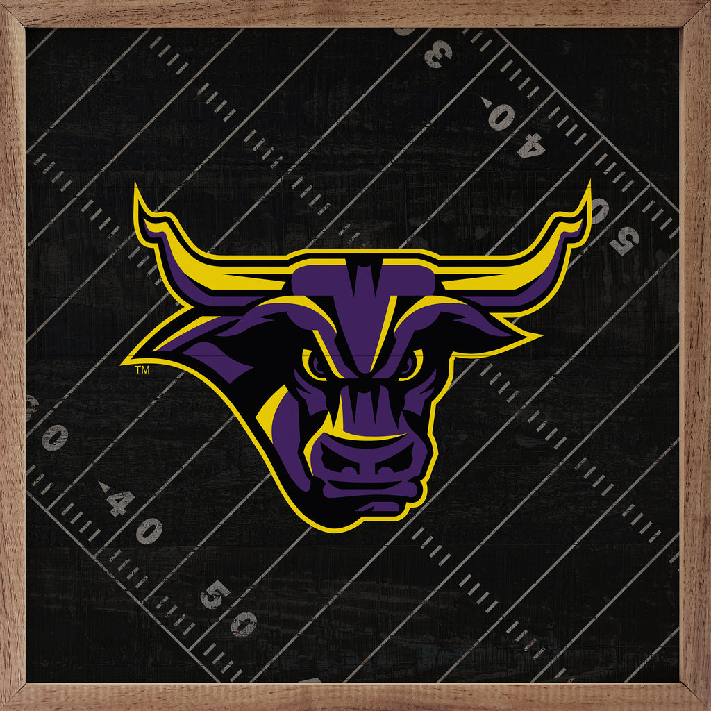 Black Football Field Minnesota Mankato 16x16 / Black