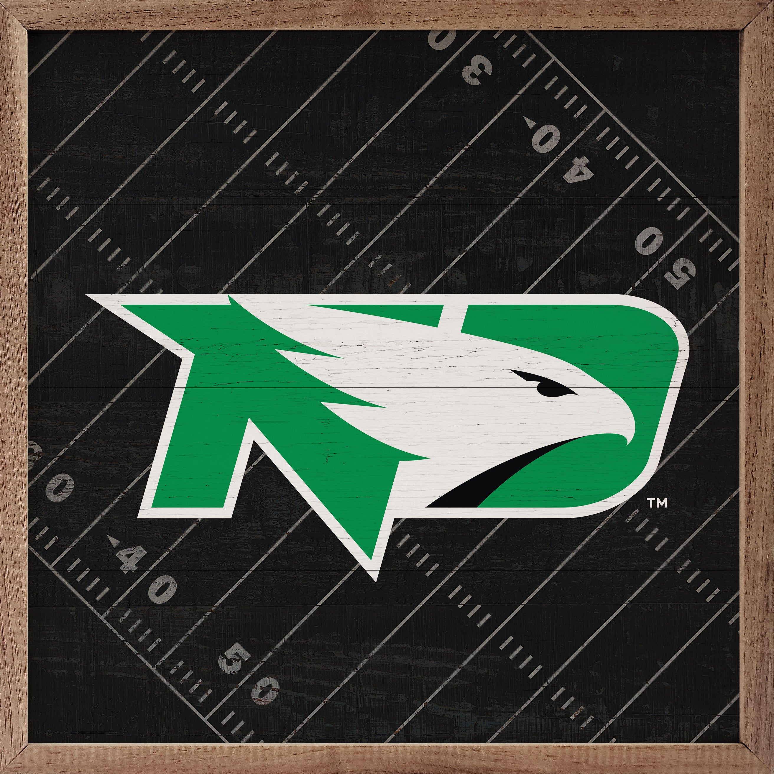 Black Football Field North Dakota 16x16 / Black