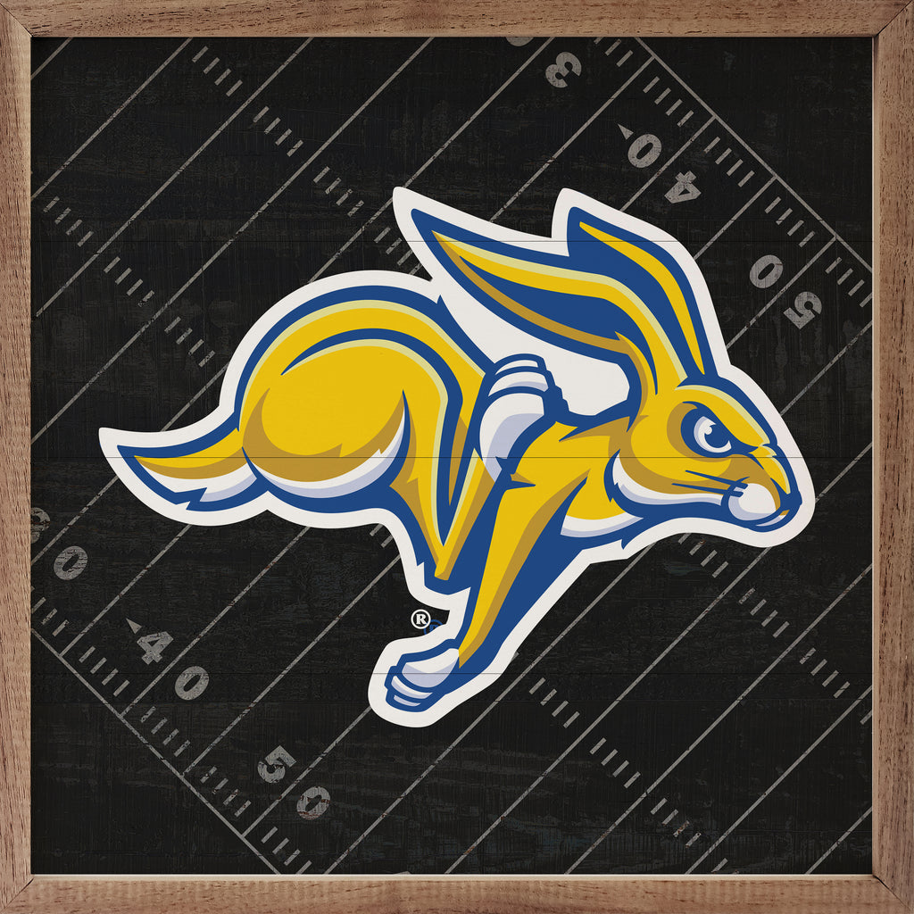 Black Football Field South Dakota State 16x16 / Black