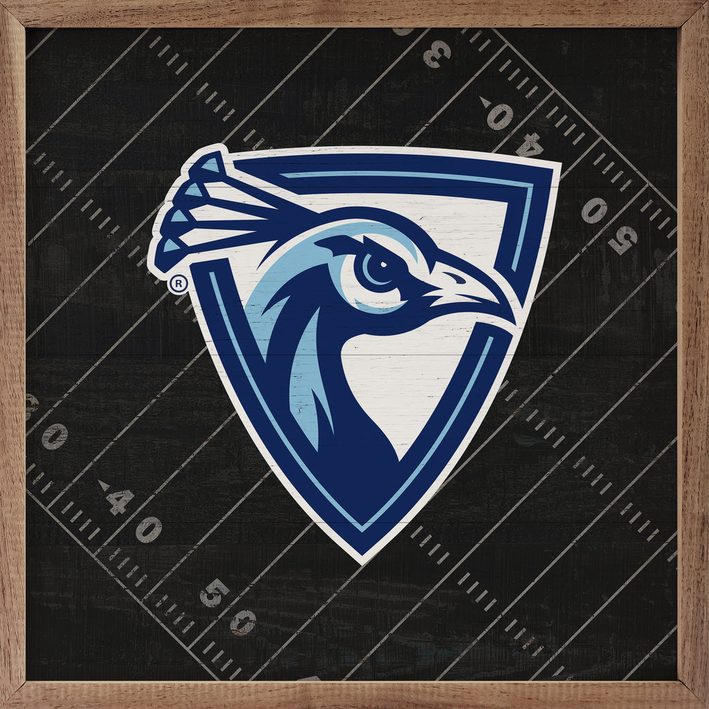 Black Football Field Upper Iowa 16x16 / Black
