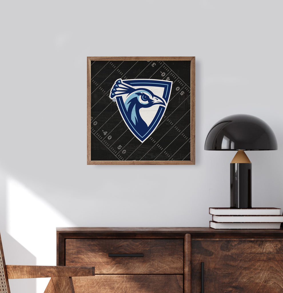 Black Football Field Upper Iowa 16x16 / Black