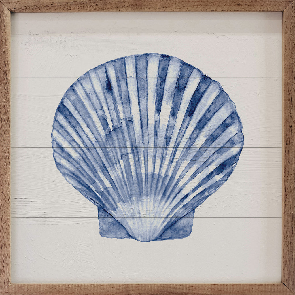 Blue Scallop Shell 3 16x16 / White