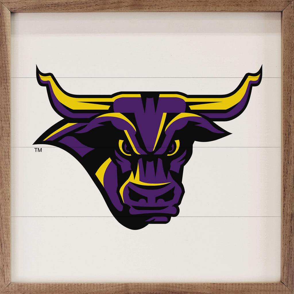 Bold Mascot Minnesota Mankato 16x16 / White