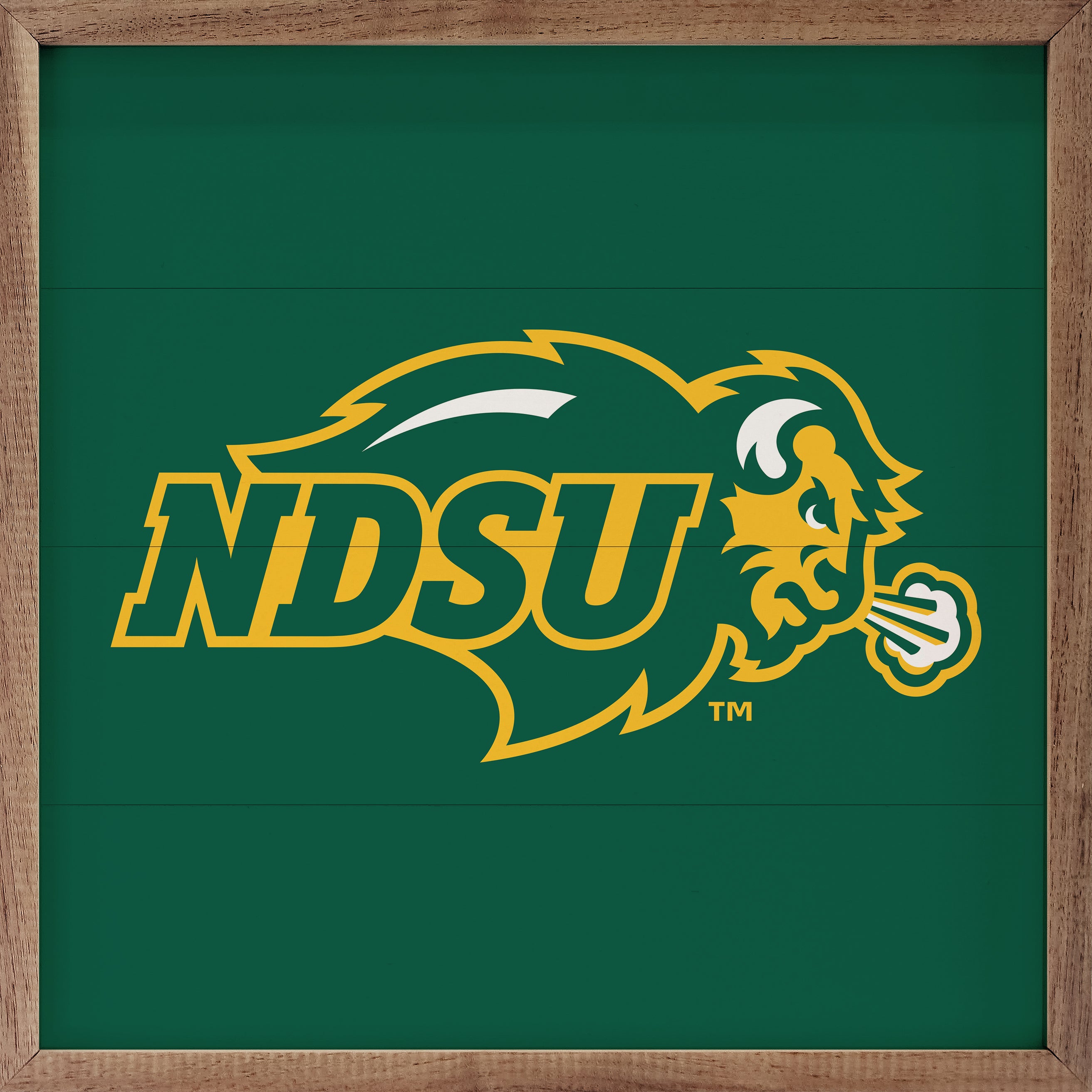 Bold Mascot NDSU 16x16 / White