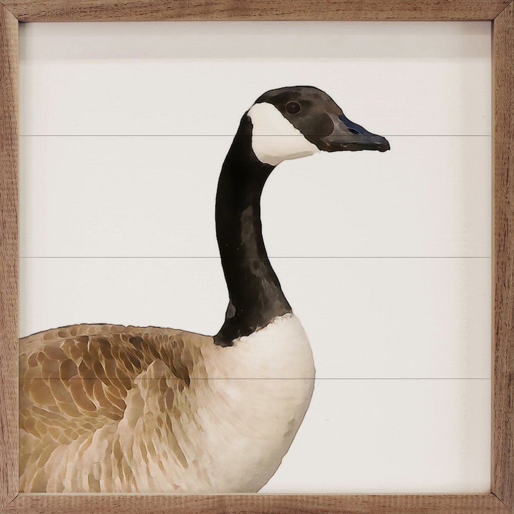 Watercolor Canadian Goose 16x16 / White