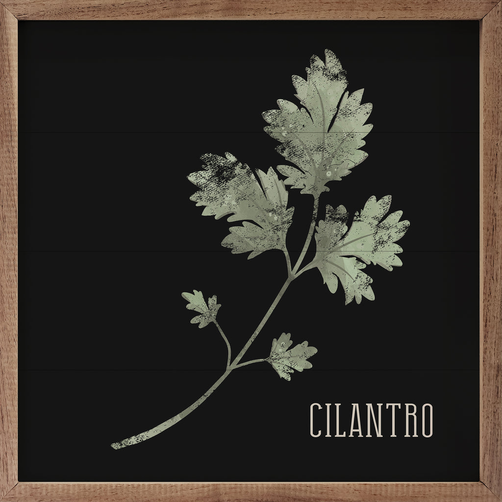 Cilantro White 16x16 / White