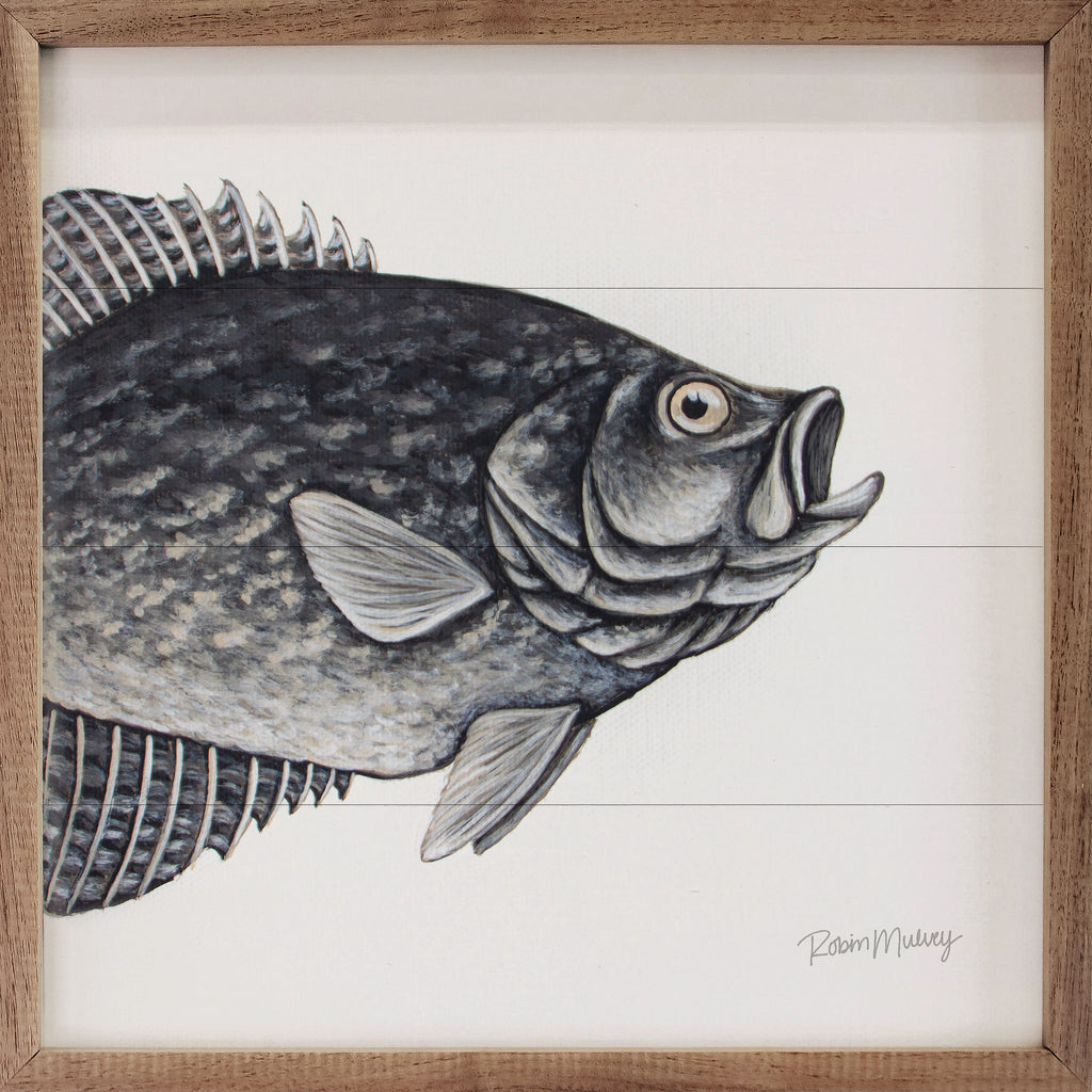Crappie By Robin Sue Studio 16x16 / Multi-Color