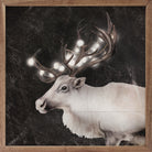 Glowing Reindeer Black 16x16 / Black
