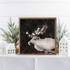 Glowing Reindeer Black 16x16 / Black
