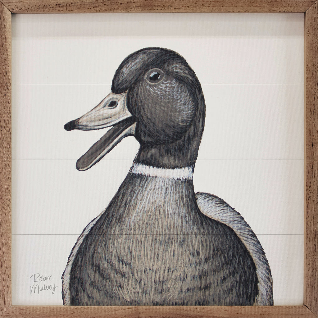 Mallard Duck By Robin Sue Studio 16x16 / Multi-Color