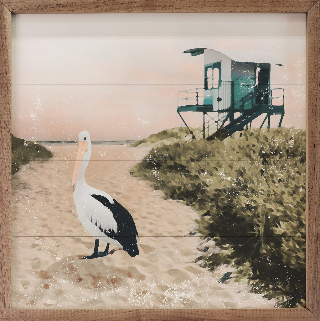 Pelican On The Beach 16x16 / White