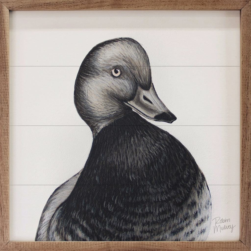 Redhead Duck By Robin Sue Studio 16x16 / Multi-Color
