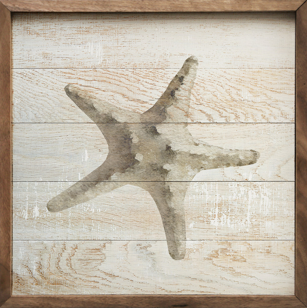 Sea Star Whitewash 16x16 / Whitewash